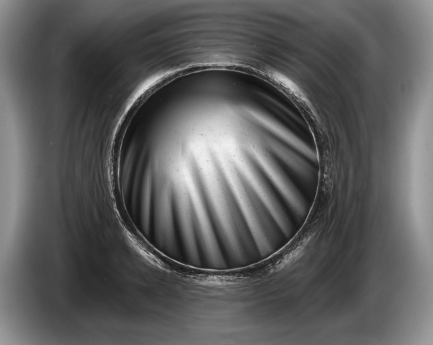 X0000086270942200704122026