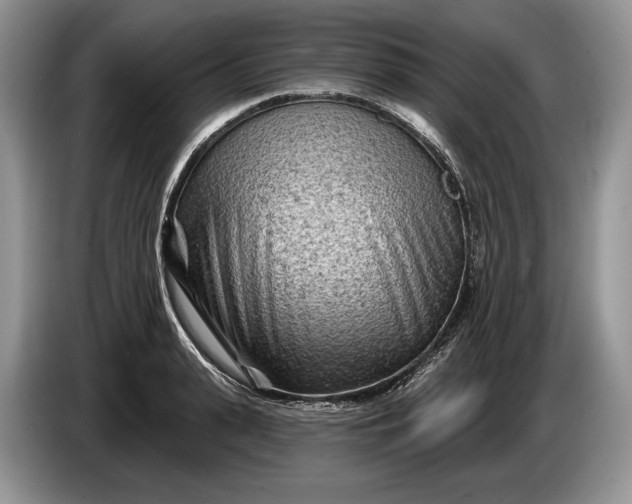 X0000086270943200704122026