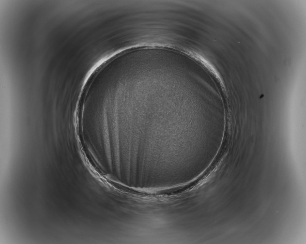 X0000086270944200704122026