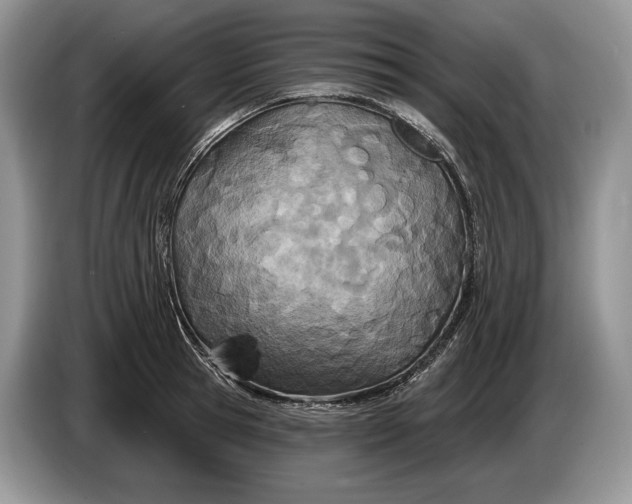 X0000086270945200704122026