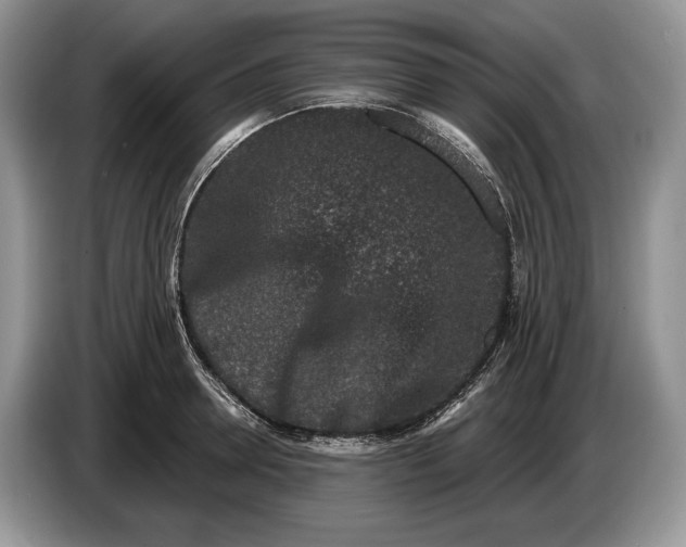 X0000086270946200704122026