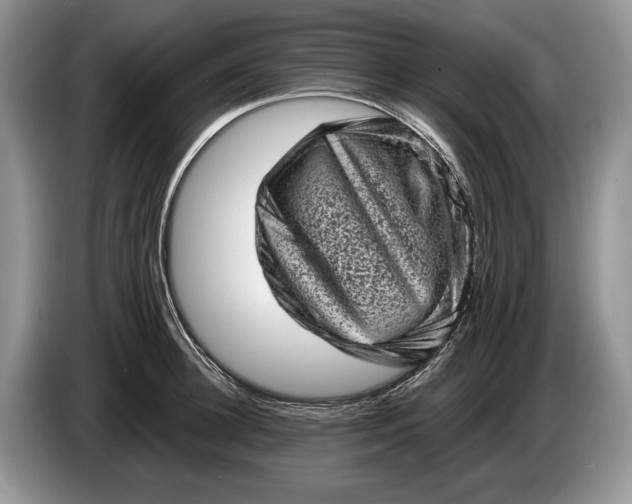 X0000086270948200704122027