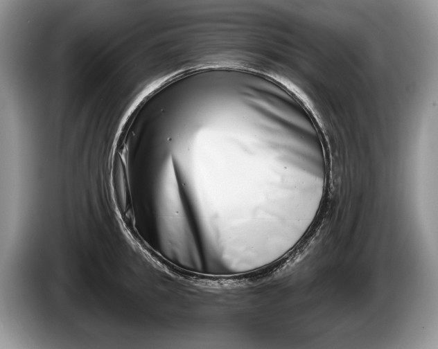 X0000086270949200704122027