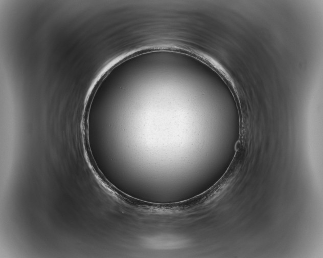 X0000086270951200704122027