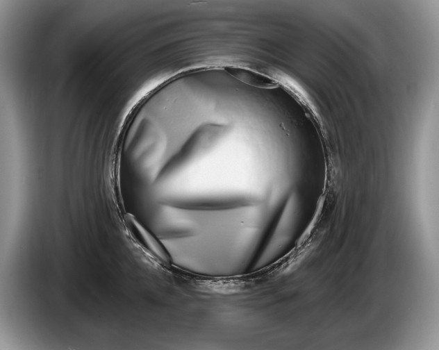 X0000086270952200704122027