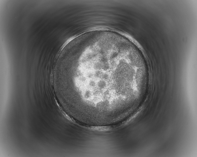 X0000086270953200704122027