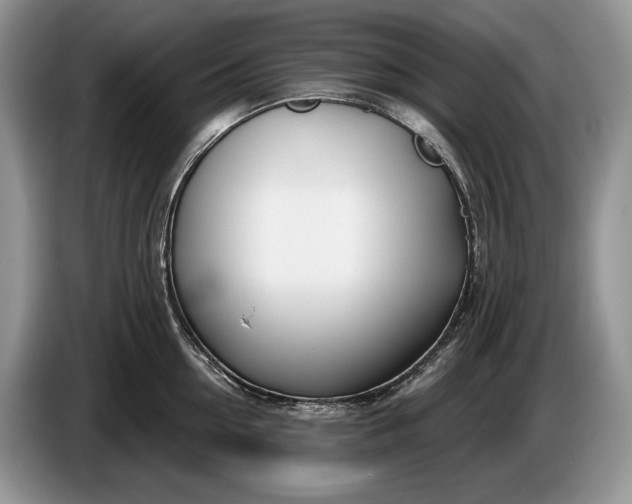 X0000086270954200704122027