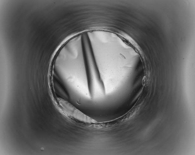 X0000086270955200704122027