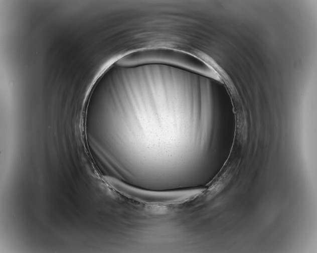 X0000086270956200704122027