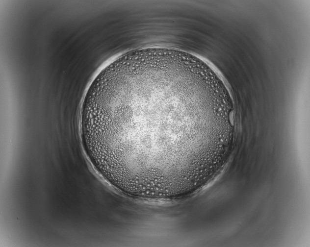 X0000086270957200704122027