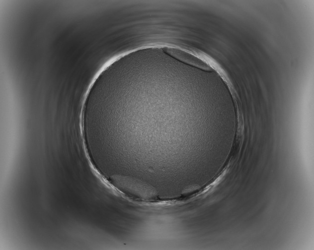 X0000086270958200704122027