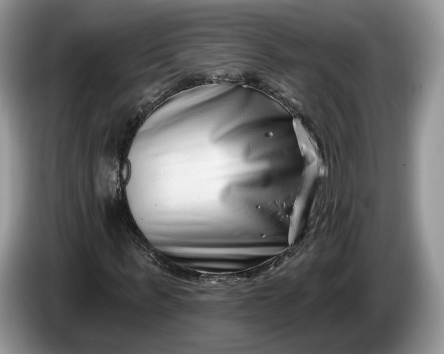 X0000086270963200704122026