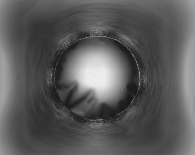 X0000086270964200704122026