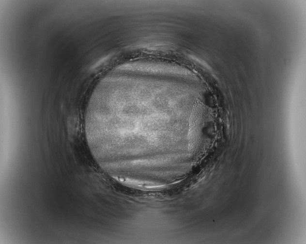 X0000086270966200704122026