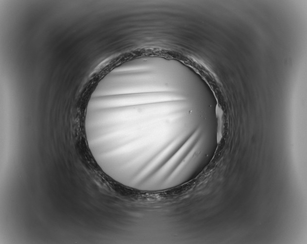 X0000086270968200704122026