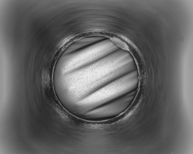 X0000086270969200704122026