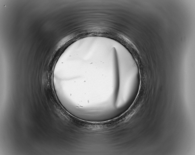 X0000086270970200704122026