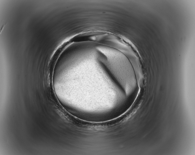 X0000086270973200704122026