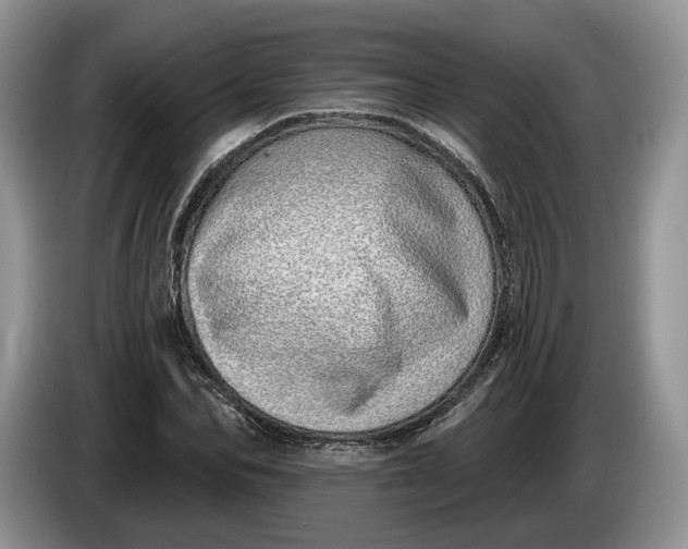 X0000086270974200704122026