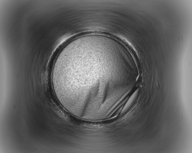 X0000086270975200704122026