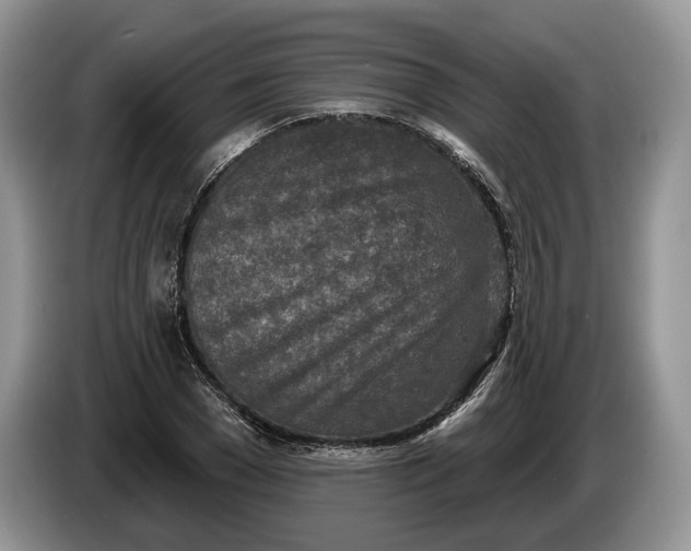 X0000086270977200704122026