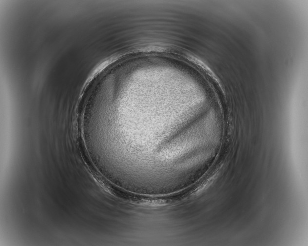 X0000086270978200704122026