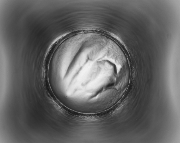 X0000086270979200704122026