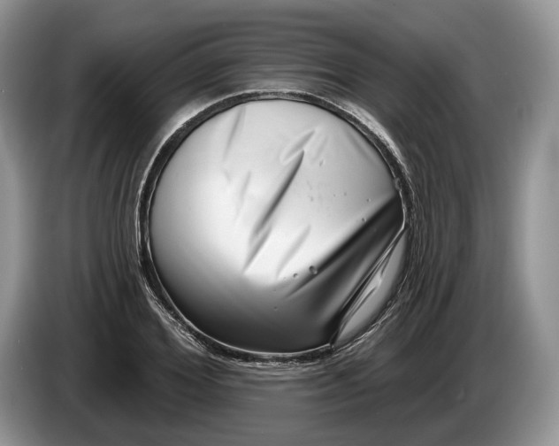 X0000086270980200704122026