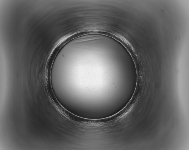 X0000086270981200704122026