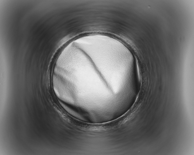 X0000086270982200704122026