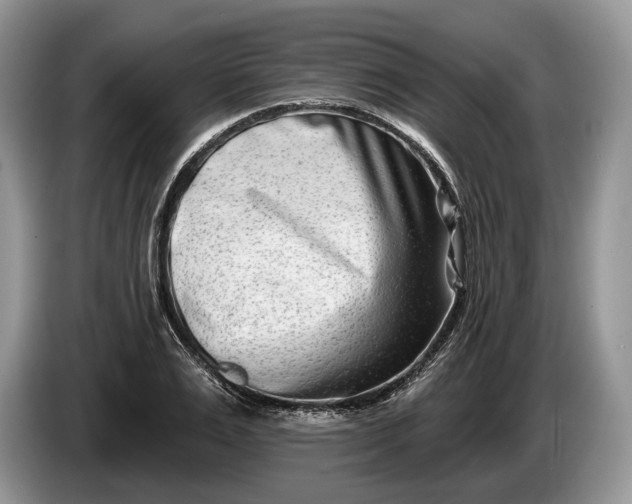 X0000086270983200704122026