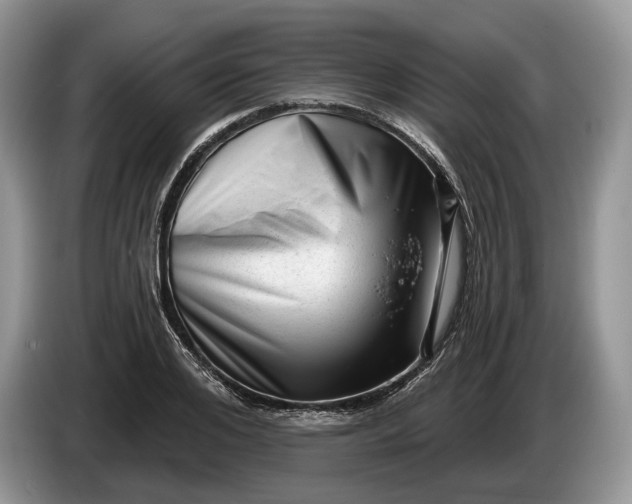 X0000086270984200704122026