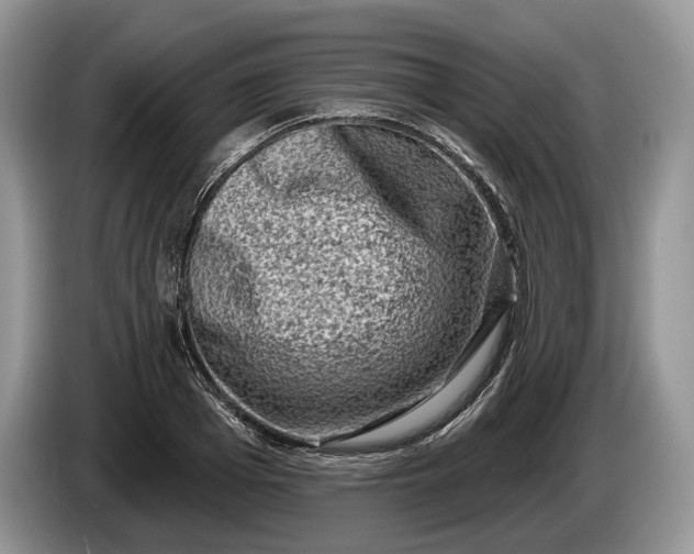 X0000086270985200704122026