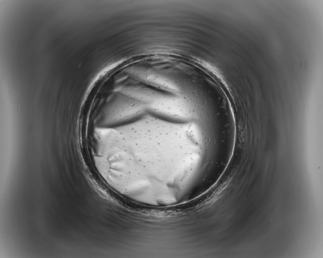 X0000086270987200704122026