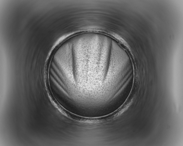 X0000086270989200704122026