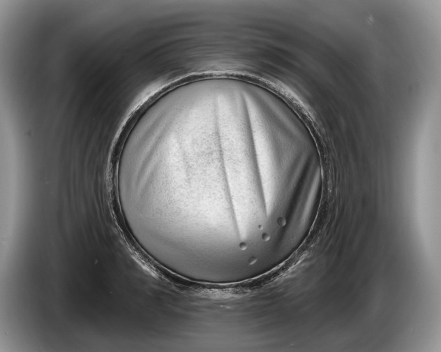 X0000086270990200704122026