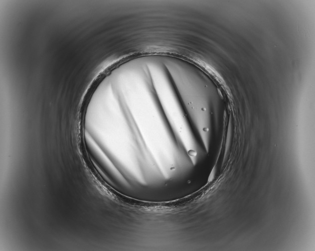 X0000086270992200704122026