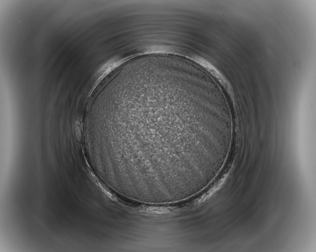 X0000086270993200704122026