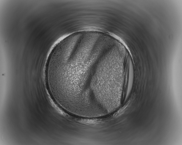 X0000086270995200704122026