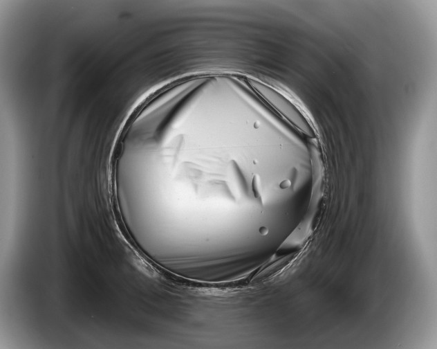 X0000086270996200704122026