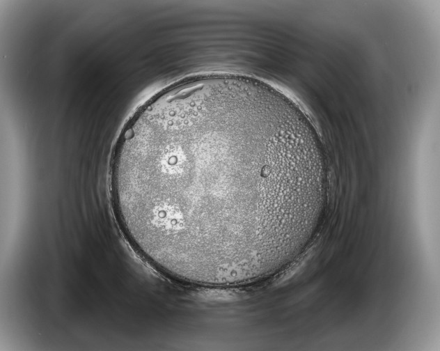 X0000086270998200704122026