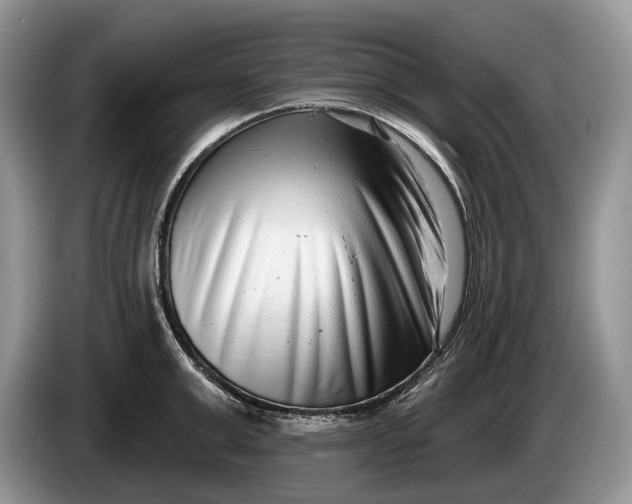 X0000086270999200704122026