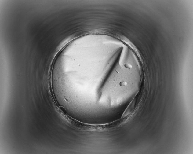 X0000086271002200704122026