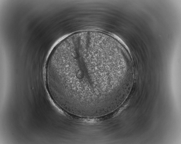 X0000086271003200704122026