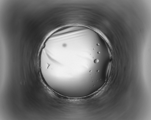 X0000086271004200704122026