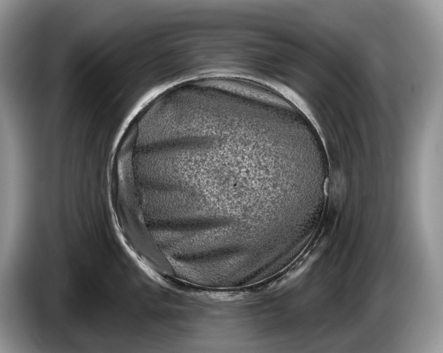 X0000086271005200704122026