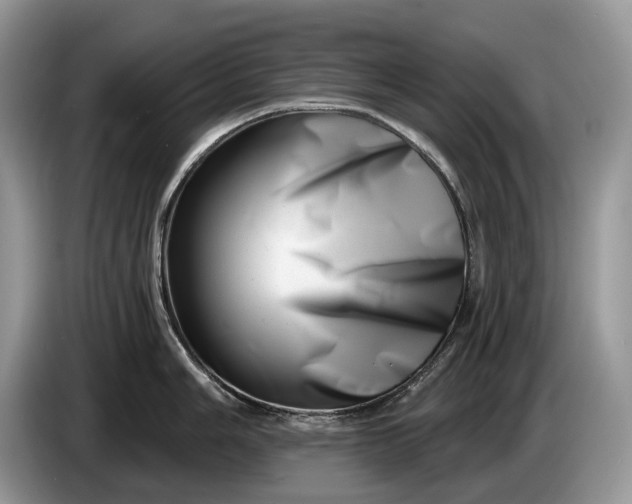 X0000086271006200704122026