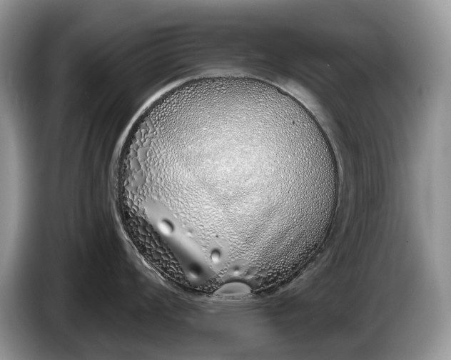 X0000086271008200704122026