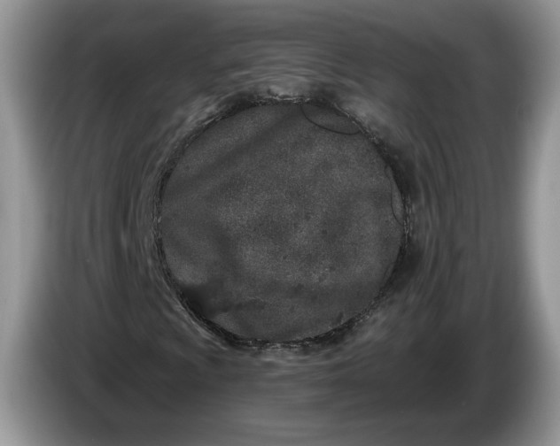 X0000086271009200704122025