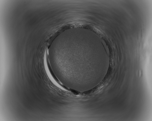 X0000086271010200704122025